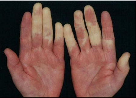 1773387126405287.png 图片1.png