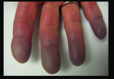 1773387140278211.png 图片2.png