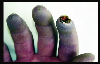 1773387155627208.png 图片3.png