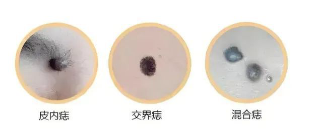 1782177926727409.png 图片2.png