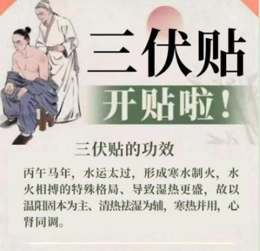 三伏贴开贴啦!!!